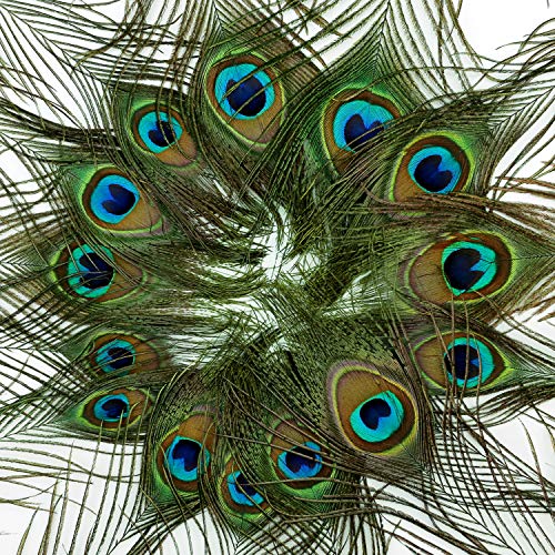Mwoot 15pcs Plumas de Pavo Real Naturales, para la decoración del hogar DIY Jewelry Party Arte y más (28-32CM)