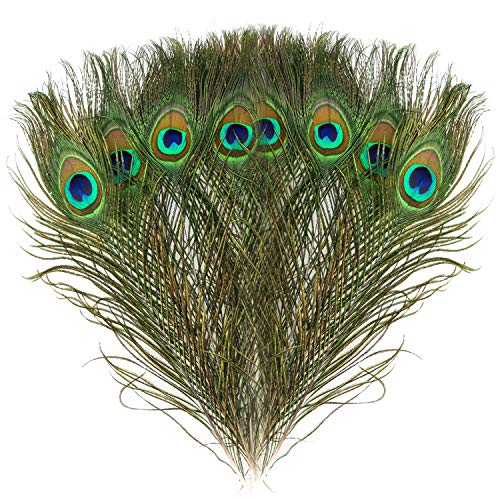 Mwoot 15pcs Plumas de Pavo Real Naturales, para la decoración del hogar DIY Jewelry Party Arte y más (28-32CM)