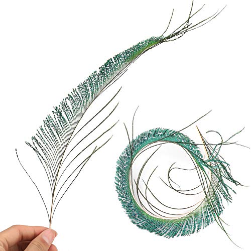 Mwoot 30pcs Natural Pavo Real Plumas de espada, Plumas de Pavo Real para la decoración del hogar DIY Jewelry Party Arte (25-35CM)