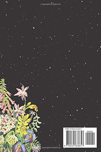 My Name Is Hayley And I Am A Queen: Personalized Name Journal for Hayley notebook | Birthday Journal Gift | Lined Notebook /Pretty Personalized ... | 6x9 Inches , 100 Pages , Soft Cover, Gloss