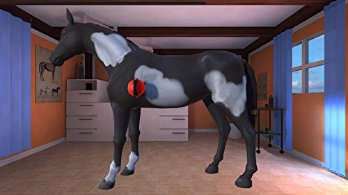 My Riding Stables 2. A New Adventure