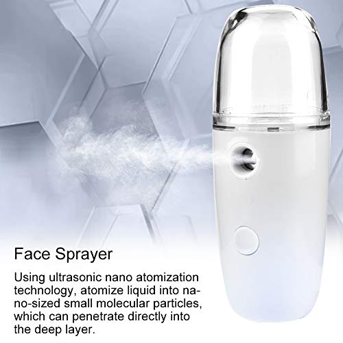 Nano Ion Mist Sprayer, USB Recargable, Profesional Nano Face Humidifier, Beauty Moist Skin Care Sprayer para Face Personal Skin Care Care
