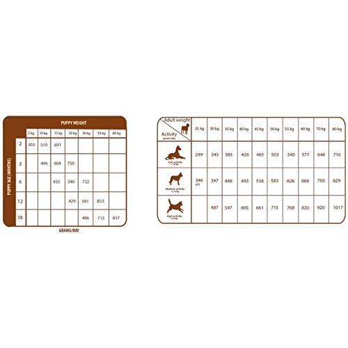 Natural Greatness Optimum Large Breed Alimento Seco Completo para Perros - 12000 gr