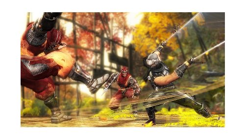 Ninja Gaiden Sigma Plus (PS Vita) [Importación francesa]