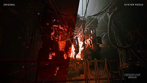 Observer: System Redux 【CEROレーティング「Z」】