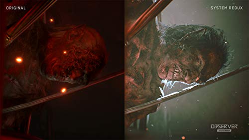 Observer: System Redux 【CEROレーティング「Z」】