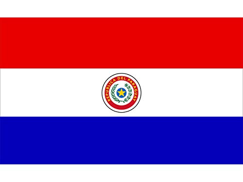 Oedim Bandera de Paraguay 85x1,50cm | Reforzada y con Pespuntes | Bandera con 2 Ojales Metálicos y Resistente al Agua