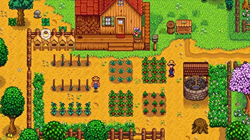 Oizumi Amuzio Stardew Valley Collector's Edition (Edición de Coleccionista) (Idioma Español Incluido) Edición Japonesa Region Free Nintendo Switch