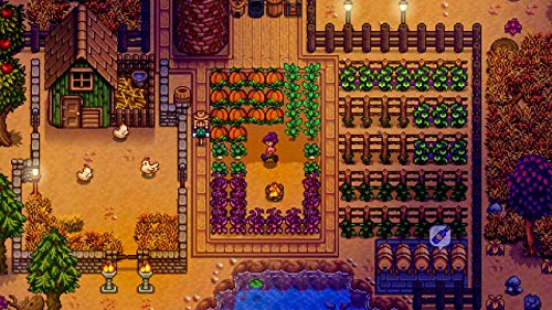 Oizumi Amuzio Stardew Valley Collector's Edition (Edición de Coleccionista) (Idioma Español Incluido) Edición Japonesa Region Free Nintendo Switch