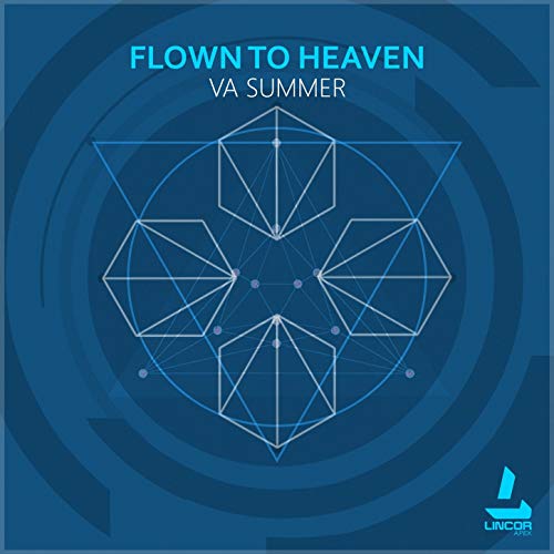 Online System Check (Ilya Gerus Remix)