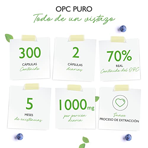 OPC Extracto de Semilla de Uva - 300 Cápsulas - 1000mg de Extracto con 700mg de OPC - El más alto contenido de OPC según HPLC - OPC de Uvas Europeas probado en laboratorio - Vegano
