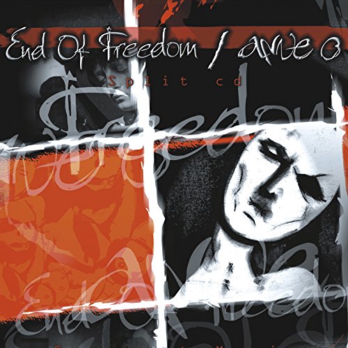 Orden a Partir del Ruido