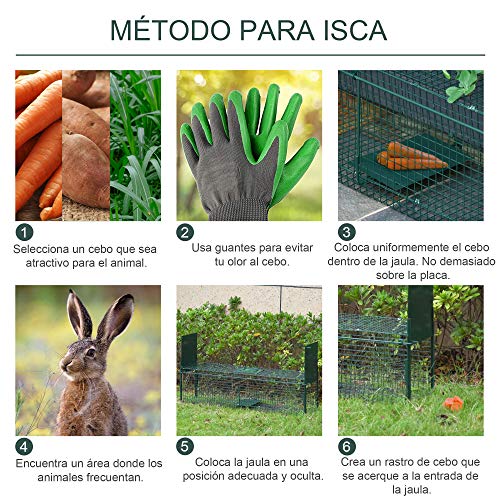 Pawhut Trampa con 2 Puertas para Animales Vivos Jaula de Captura Metálica con Asa para Conejos Visones Zorros Pequeños 100x25x28 cm Verde Oscuro