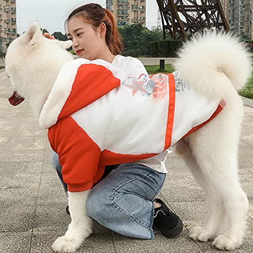 Perro Grande del Otoño Y La Ropa De Invierno, Más Cálido Terciopelo De Oro De Labrador Retriever Samoyedo Mediana Grande Perro Capa De La Chaqueta De Perro (tamaño : 4XL-(20-25kg))