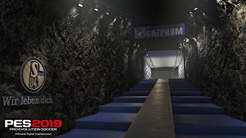 PES 2019 [Importación francesa]