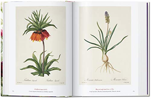 Pierre-Joseph Redouté. El libro de las flores. 40th Anniversary Edition