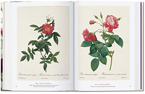 Pierre-Joseph Redouté. El libro de las flores. 40th Anniversary Edition