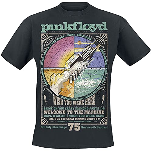 Pink Floyd Wish Hombre Camiseta Negro XXL, 100% algodón, Regular