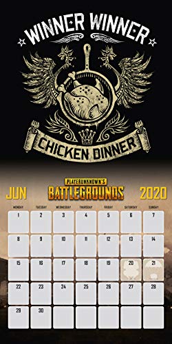 Playerunknowns Battleground 2020 Calendar - Official Square Wall Format Calendar