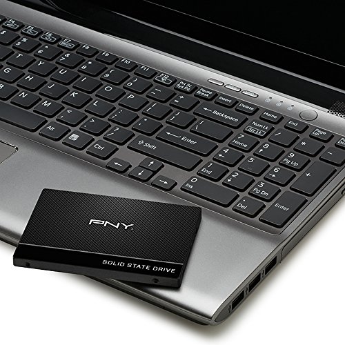 PNY SSD7CS900-240-PB - SSD CS900 240GB III 6GB/S, Negro