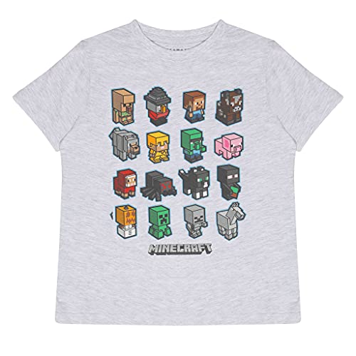 Popgear Minecraft Mini Mobs Boys T-Shirt Heather Grey Camiseta, Gris, 6-7 Años para Niños
