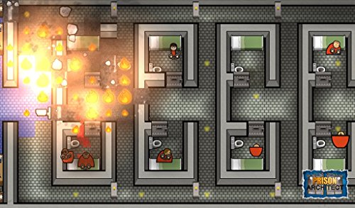 Prison Architect [Importación Inglesa]