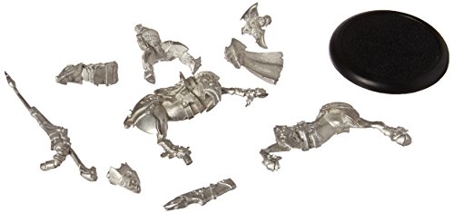 Privateer Press Warmachine – reprensión de scyrah – dawnguard Destor Thane Modelo Kit