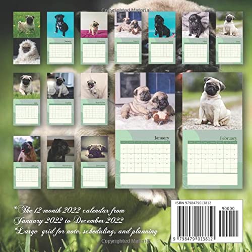 Pug Puppies 2022 Calendar: Beautiful Calendar with Large Grid for Note - To do list, Gorgeous 7x7'' Small Mini Calendar, Non-Glossy Paper