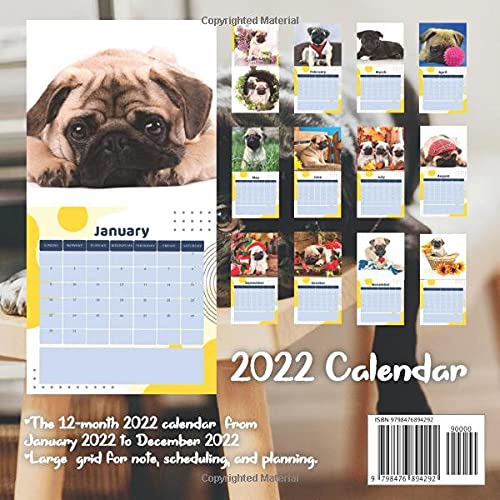Pug Puppies 2022 Calendar: Great 12-month Large Grid Calendar 8.5 x 8.5 for scheduling, planning, and note!!!