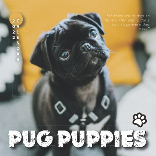 Pug Puppies 2022 Calendar: Great 12-month Large Grid Calendar 8.5 x 8.5 for scheduling, planning, and note!!!