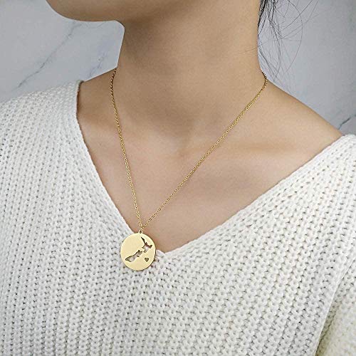 quanjiafu Collar con Colgante De Mapa De Nueva Zelanda, Collar De Moneda Redonda De Acero Inoxidable para Mujer, Joyería De Mapa del País Collar