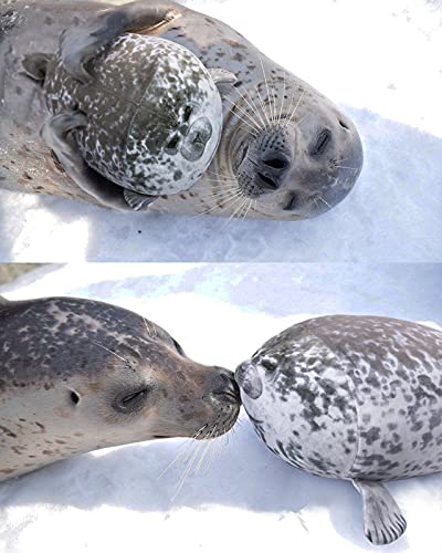 RAINBEAN Almohada de sello, Blob Chubby Felpa Lindo Animal Cojín de Juguete Suave Regalo para Niños-Gris 30cm