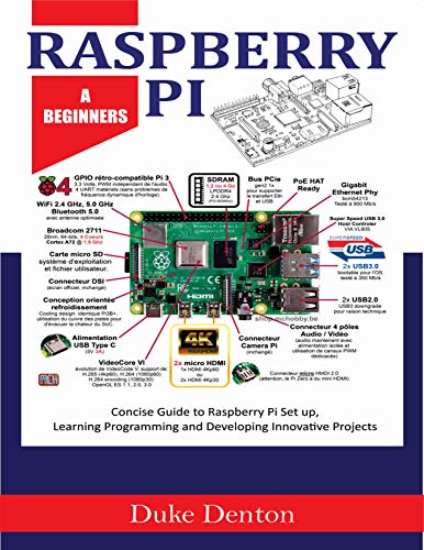 RASPBERRY PI: A Beginners Concise Guide to Raspberry Pi Setup, Learning Programming and Developing Innovative Projects (English Edition)