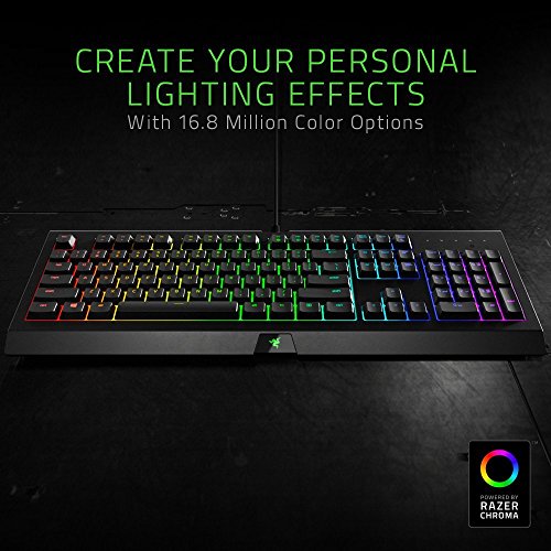 Razer Cynosa Chroma USB QWERTY Italiano Negro - Teclado (Alámbrico, USB, Interruptor de Membrana, QWERTY, LED RGB, Negro)