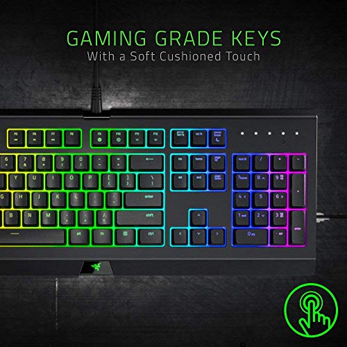Razer Cynosa Chroma USB QWERTY Italiano Negro - Teclado (Alámbrico, USB, Interruptor de Membrana, QWERTY, LED RGB, Negro)