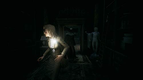 Remothered: Tormented Fathers for Nintendo Switch [USA]