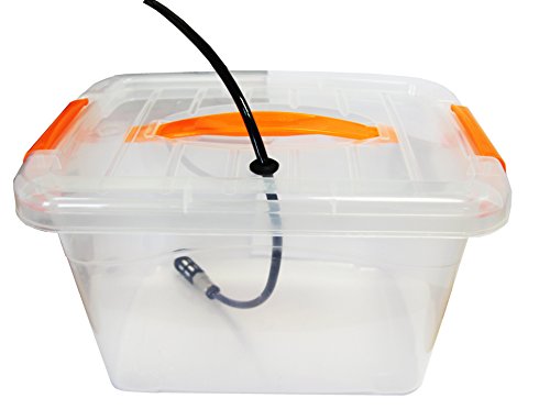 Reptiles Planet Central de vaporización Terraria Reptiles Reptiles Rainforest