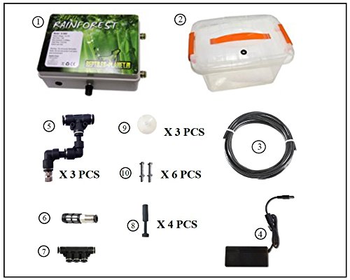 Reptiles Planet Central de vaporización Terraria Reptiles Reptiles Rainforest