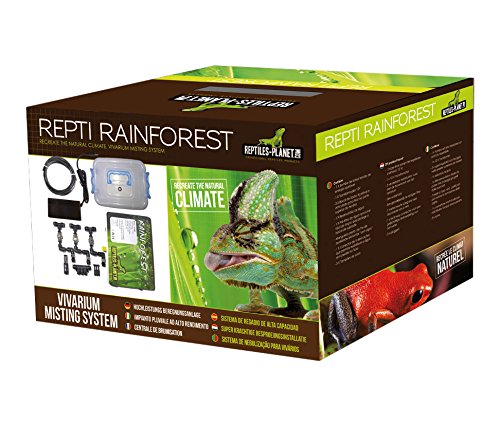 Reptiles Planet Central de vaporización Terraria Reptiles Reptiles Rainforest