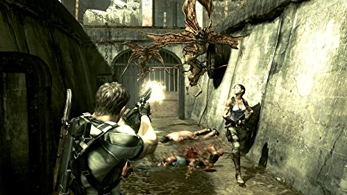 Resident Evil 5 [Importación Alemana]