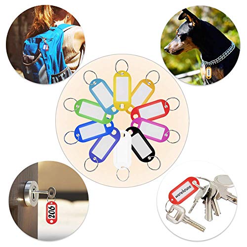 Rmeet Etiquetas con Llaveros Plástico,50 Pack Etiquetas de Colores Transparentes Llavero de Identificación con Ventana Etiquetas para Oficina 10 Colores