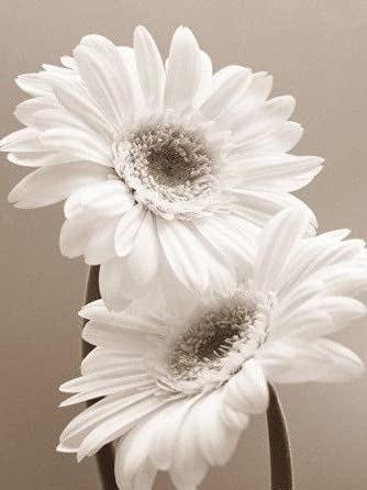 Rompecabezas de 1000 piezas para adultos Crisantemo Art rompecabezas de madera para adultos, bloque de construcción de juguetes educativos para niños A.6 1000 piezas