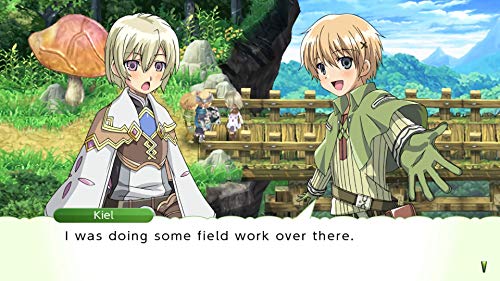 Rune Factory 4 Special Switch [Importación francesa]