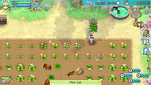Rune Factory 4 Special Switch [Importación francesa]