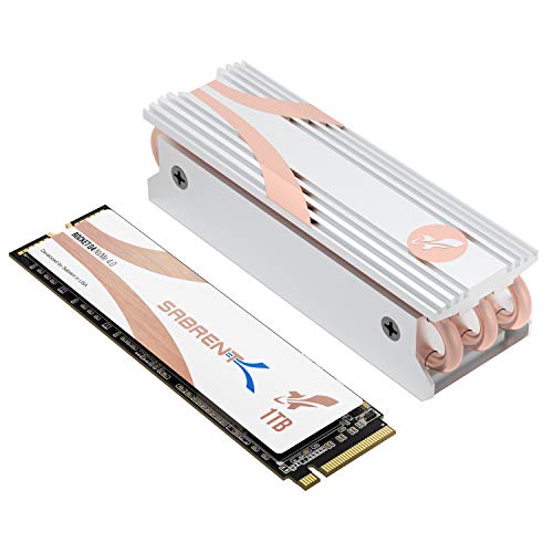 Sabrent 1TB Rocket Q4 NVMe PCIe 4.0 M.2 2280 SSD Interno Unidad de Estado sólido de máximo Rendimiento con disipador de Calor | R/W 4700/1800 MB/s (SB-RKTQ4-HTSS-1TB)