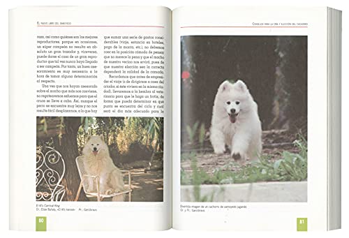 Samoyedo