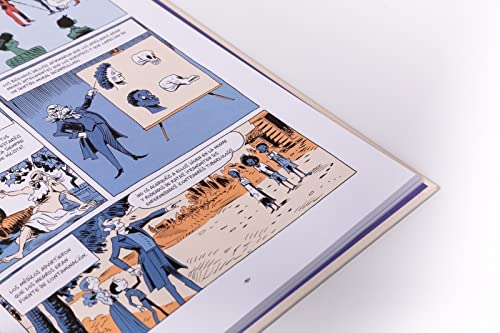 Sapiens. Una historia gráfica (volumen II): Los pilares de la civilización