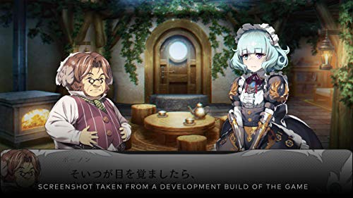 Saviors of Sapphire Wings/ Stranger of Sword City Revisited Nintendo Switch Game