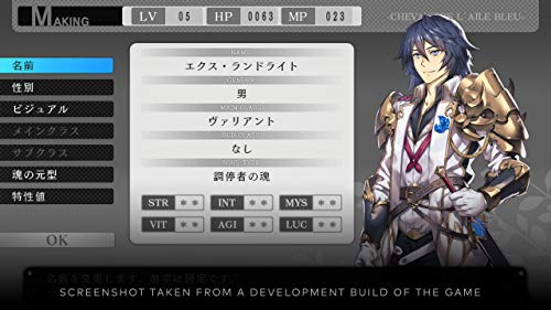 Saviors of Sapphire Wings/ Stranger of Sword City Revisited Nintendo Switch Game