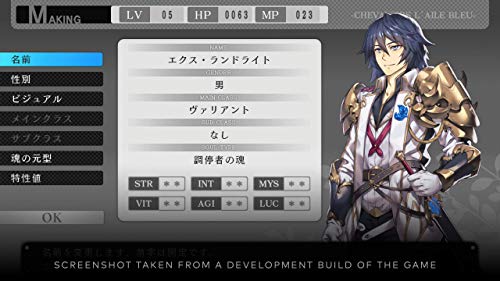 Saviors of Sapphire Wings/ Stranger of Sword City Revisited - Nintendo Switch [Importación italiana]